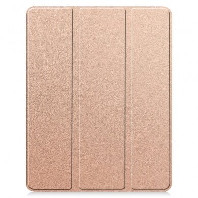 iPad Pro 13 (2024) gold silikoninis S PEN TRIFOLD 8