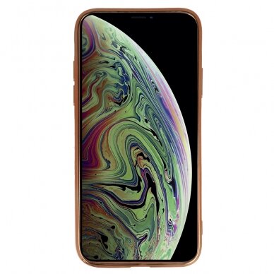 iPhone X/XS šviesiai rožinė ROOSEVELT TREND nugarėlė design 2 2