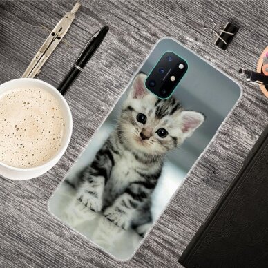 OnePlus 8T Tracy nugarėlė Adorable Cat 1