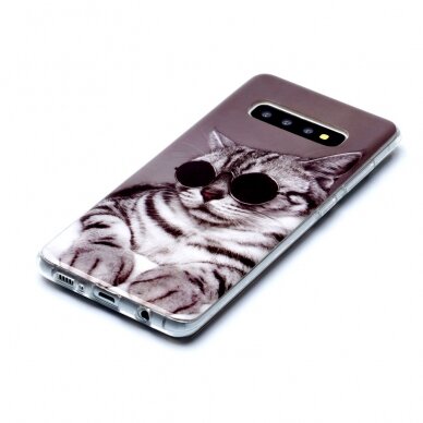 Samsung S10 PLUS Tracy nugarėlė Cat with glasses 2